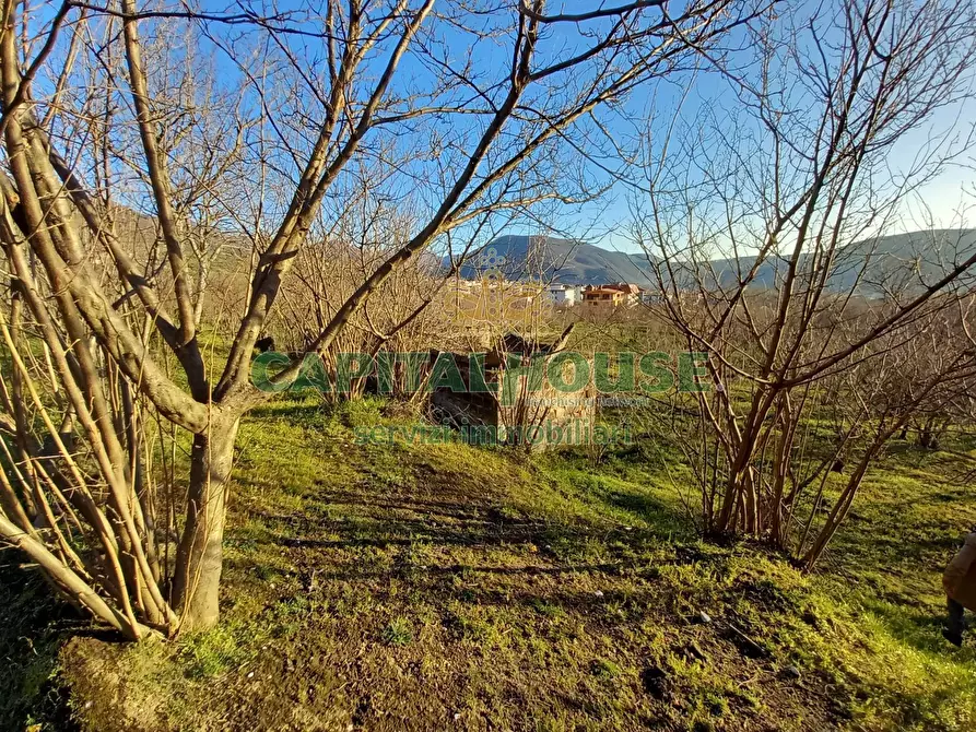 Immagine 15 di Terreno agricolo in vendita  a Sirignano