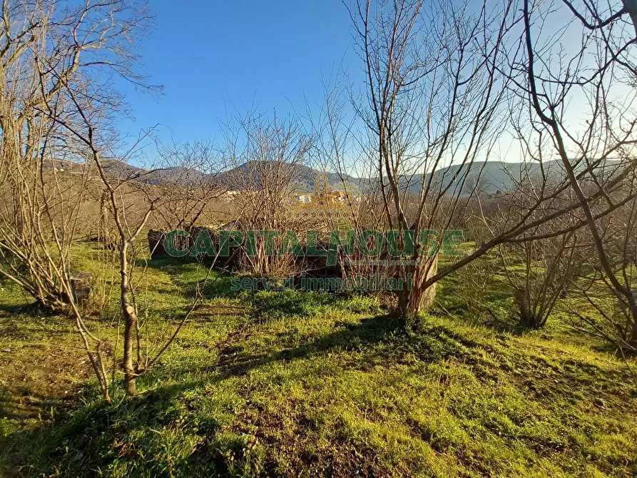 Immagine 17 di Terreno agricolo in vendita  a Sirignano