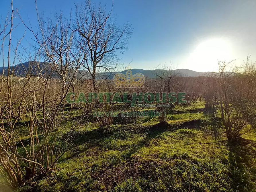 Immagine 19 di Terreno agricolo in vendita  a Sirignano