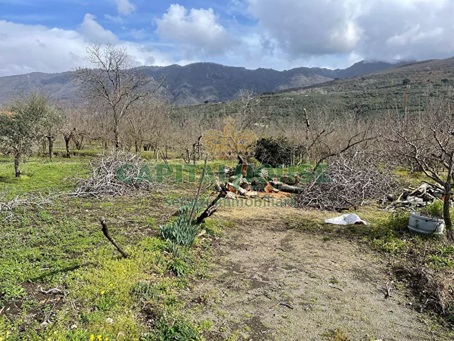 Immagine 5 di Terreno agricolo in vendita  a Avella
