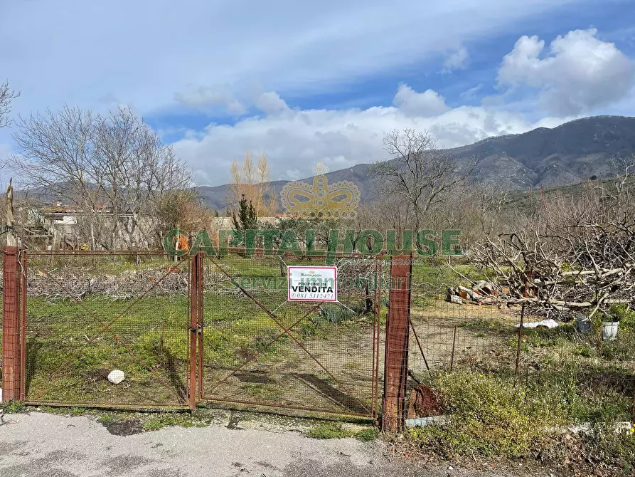 Immagine 12 di Terreno agricolo in vendita  a Avella