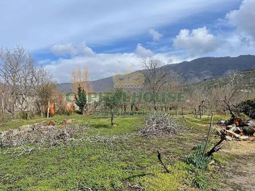 Immagine 13 di Terreno agricolo in vendita  a Avella