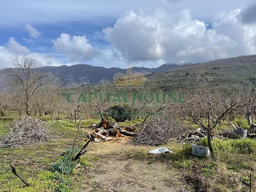 Immagine 14 di Terreno agricolo in vendita  a Avella