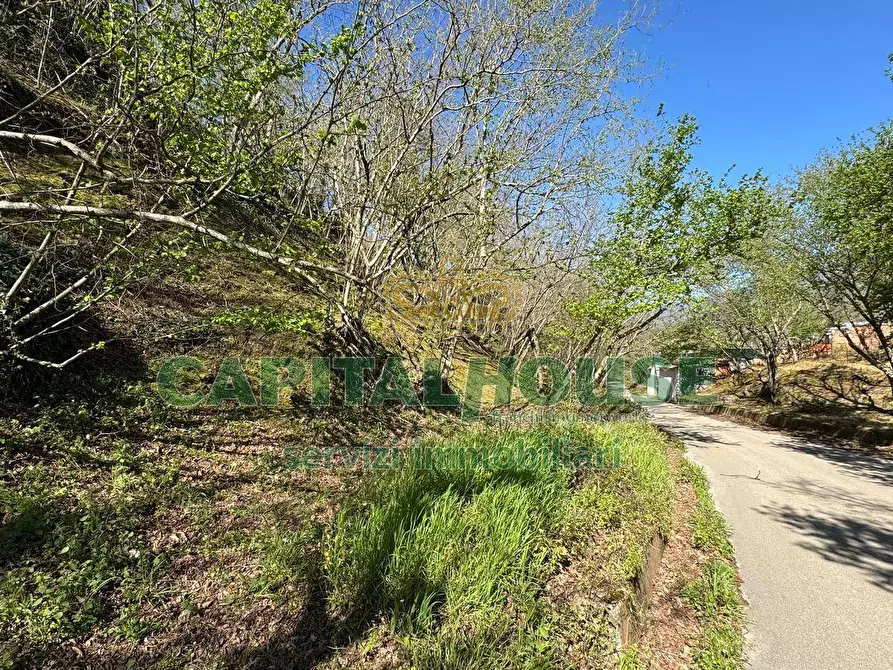 Immagine 13 di Terreno agricolo in vendita  a Mugnano Del Cardinale