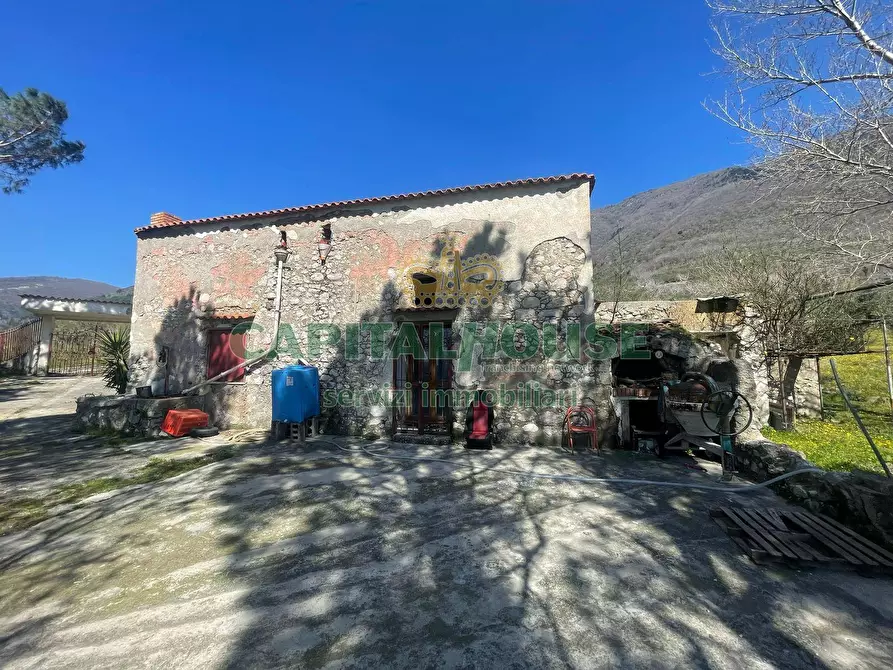 Immagine 2 di Terreno agricolo in vendita  a Avella