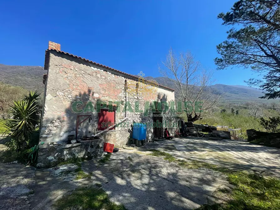 Immagine 3 di Terreno agricolo in vendita  a Avella