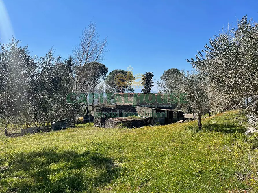Immagine 5 di Terreno agricolo in vendita  a Avella