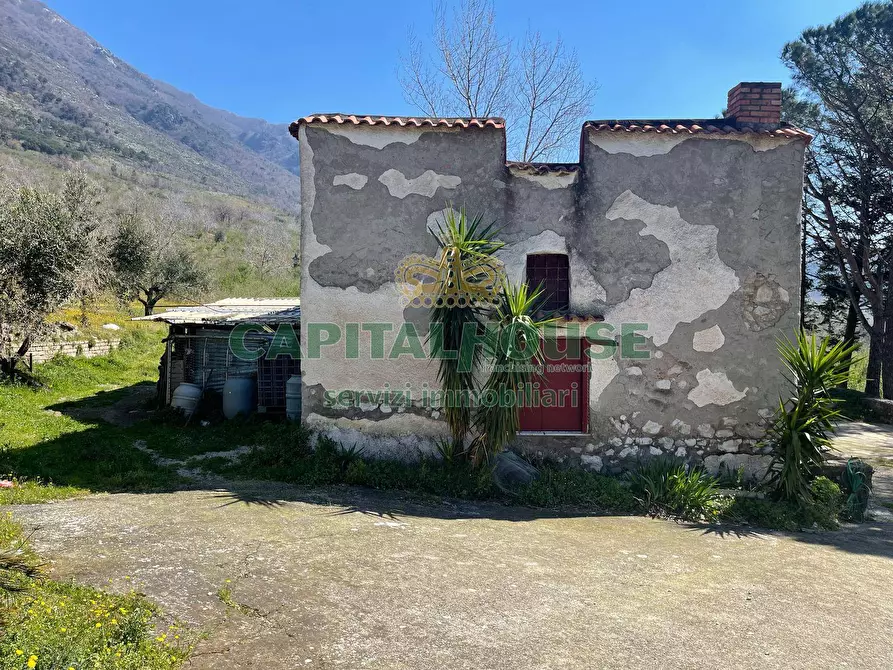 Immagine 11 di Terreno agricolo in vendita  a Avella