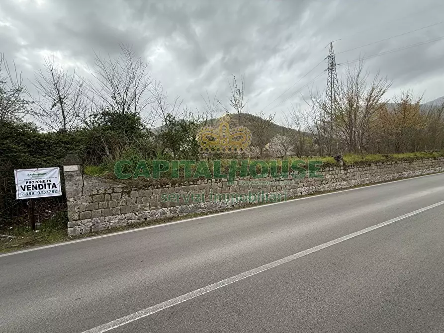 Immagine 4 di Terreno agricolo in vendita  a Castel San Giorgio