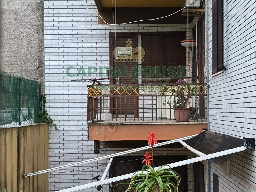 Immagine 21 di Appartamento in vendita  a Mondragone