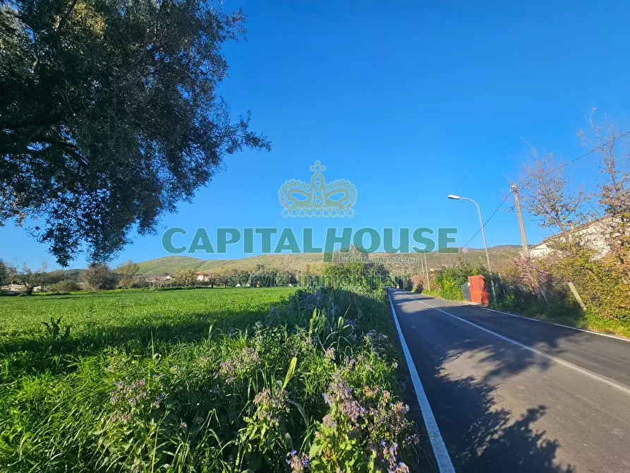 Immagine 3 di Terreno residenziale in vendita  a Pignataro Maggiore