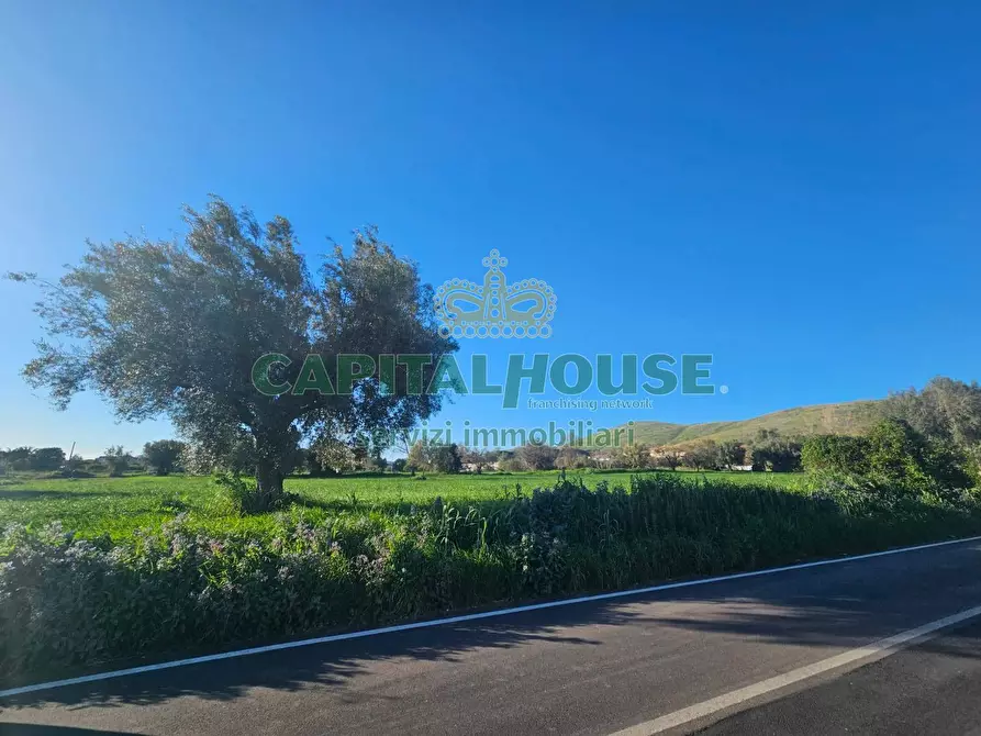 Immagine 5 di Terreno residenziale in vendita  a Pignataro Maggiore