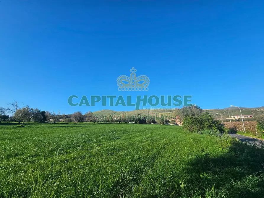 Immagine 4 di Terreno residenziale in vendita  a Pignataro Maggiore