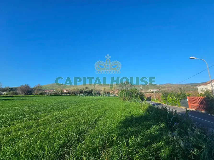 Immagine 6 di Terreno residenziale in vendita  a Pignataro Maggiore
