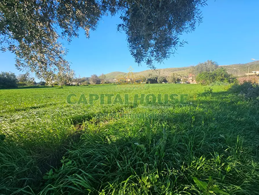 Immagine 2 di Terreno residenziale in vendita  a Pignataro Maggiore