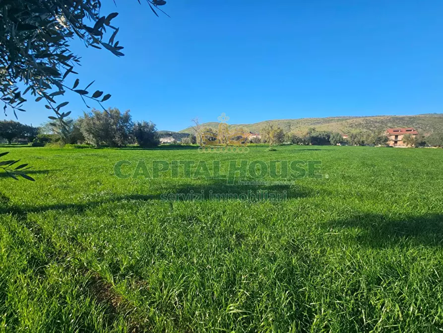 Immagine 8 di Terreno residenziale in vendita  a Pignataro Maggiore