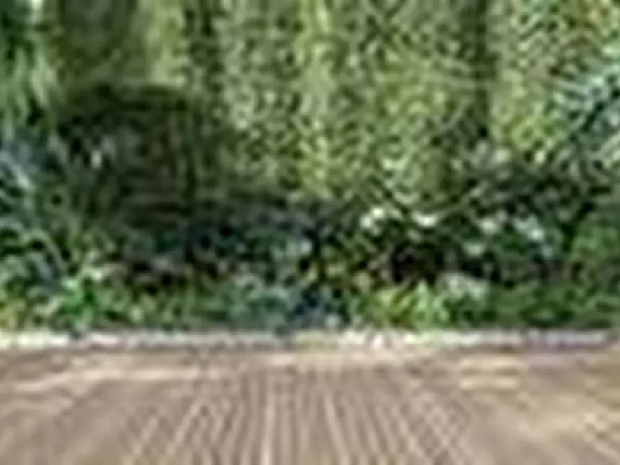 Immagine 4 di Appartamento in vendita  a Mantova