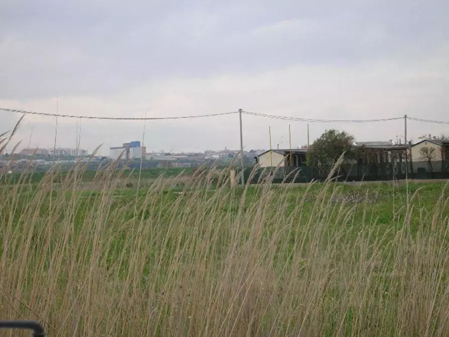 Immagine 9 di Terreno residenziale in vendita  in delle Gardenie a Campomarino