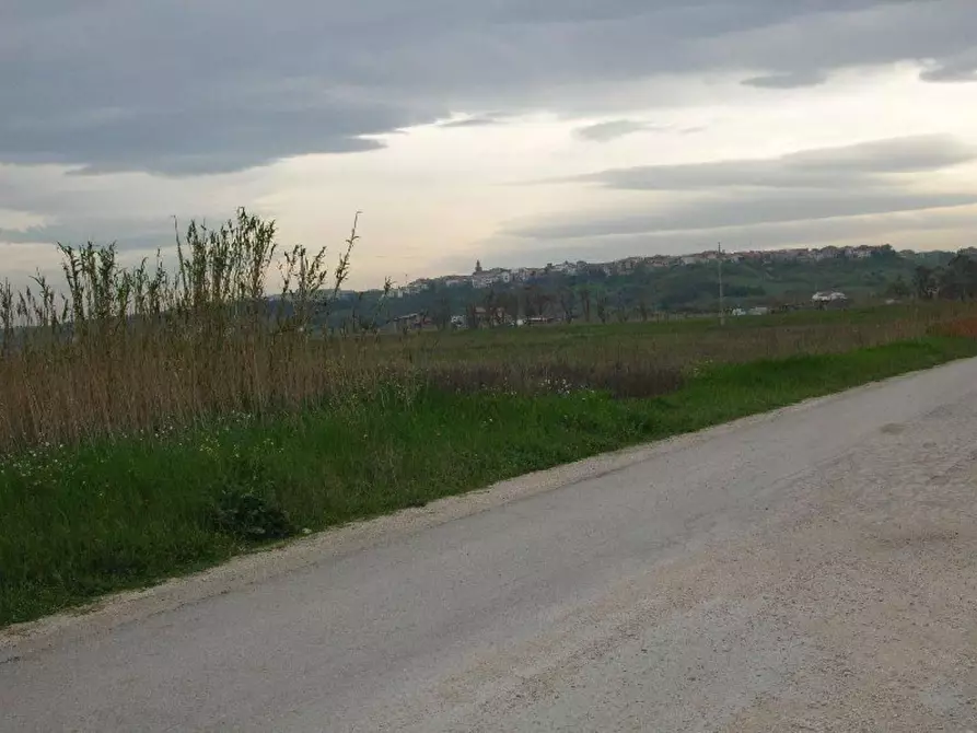 Immagine 13 di Terreno residenziale in vendita  in delle Gardenie a Campomarino