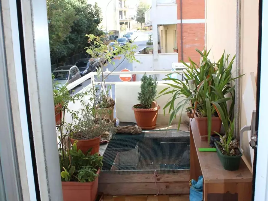 Immagine 13 di Appartamento in vendita  in del Giglio a Vasto