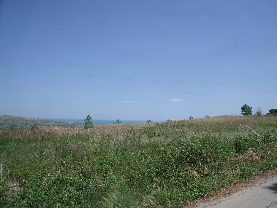 Immagine 1 di Terreno agricolo in vendita  in Ctr. Ributtini a Cupello