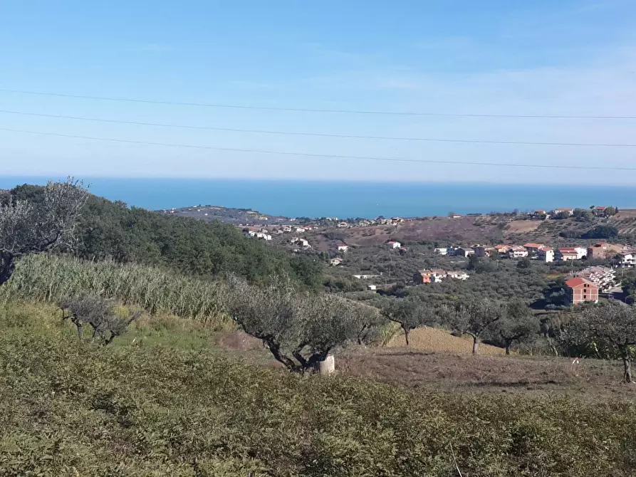 Immagine 4 di Villa in vendita  in Via Marruccina a Cupello