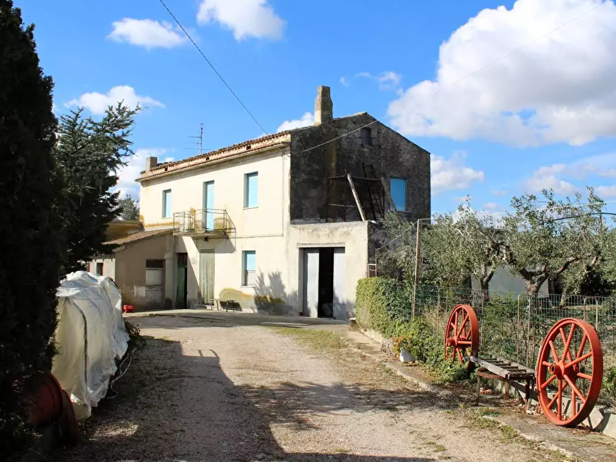 Immagine 3 di Casa indipendente in vendita  in Contrada Reale a Cupello
