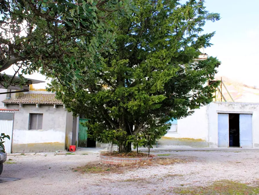 Immagine 10 di Casa indipendente in vendita  in Contrada Reale a Cupello