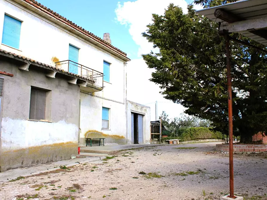 Immagine 11 di Casa indipendente in vendita  in Contrada Reale a Cupello