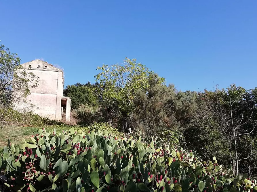 Immagine 1 di Rustico / casale in vendita  in contrada Tratturo a Monteodorisio