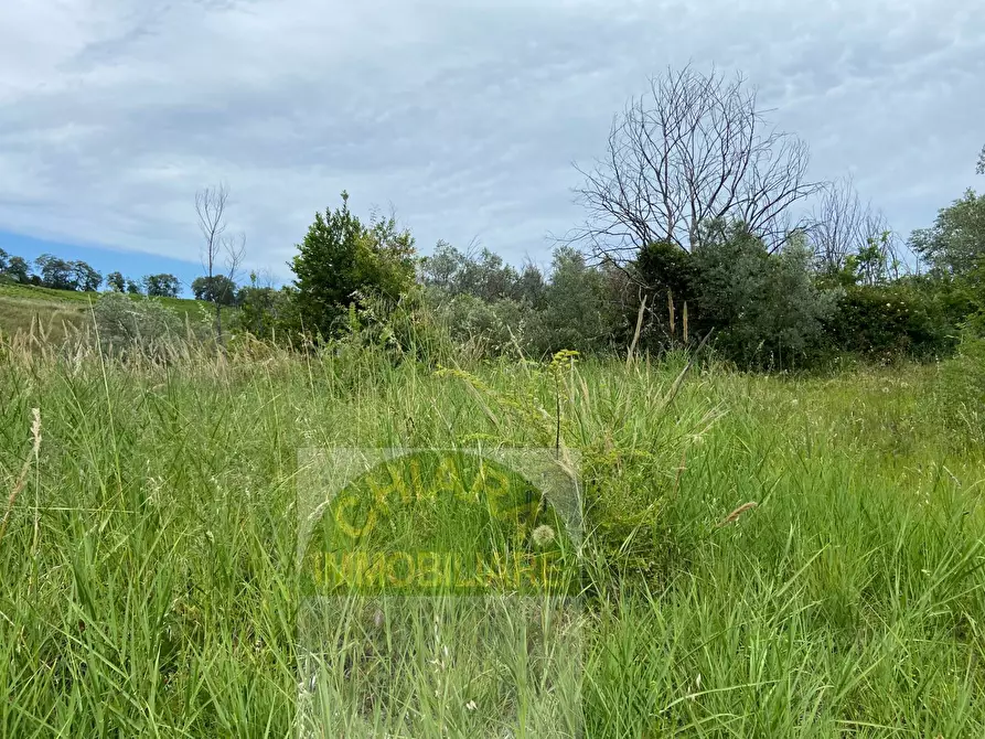 Immagine 10 di Rustico / casale in vendita  in Strada statale Istonia a Cupello