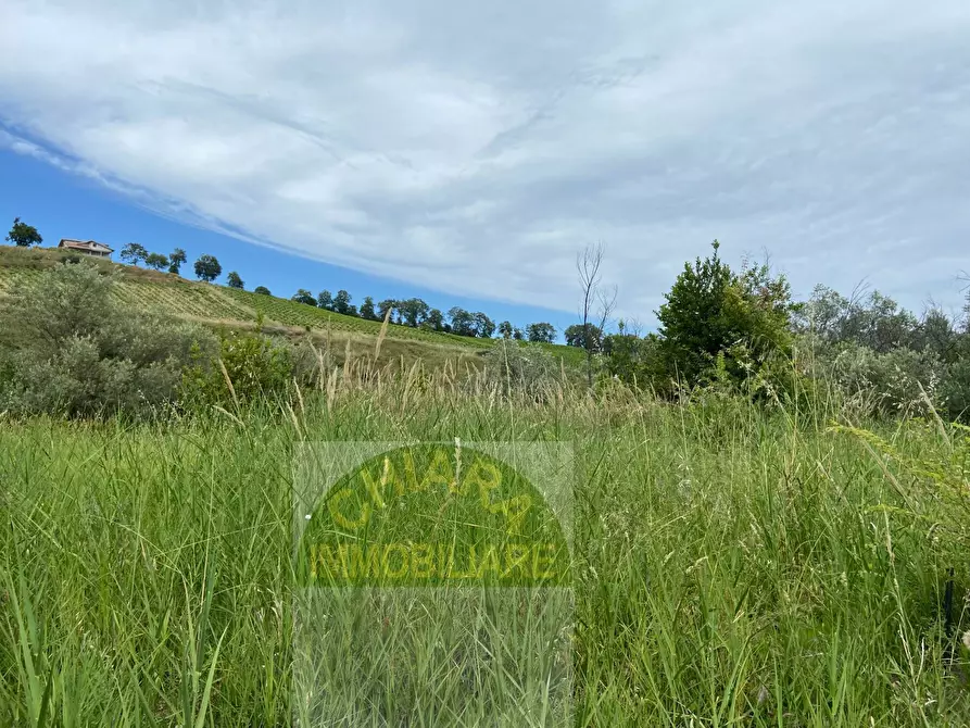 Immagine 8 di Rustico / casale in vendita  in Strada statale Istonia a Cupello
