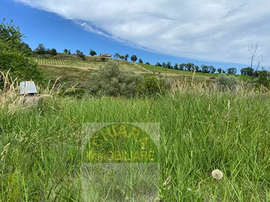 Immagine 11 di Rustico / casale in vendita  in Strada statale Istonia a Cupello