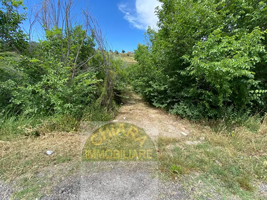 Immagine 13 di Rustico / casale in vendita  in Strada statale Istonia a Cupello