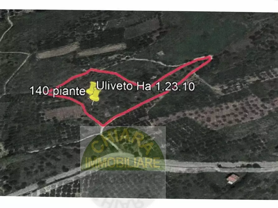 Immagine 20 di Terreno agricolo in vendita  in Sotto Castello a Monteodorisio