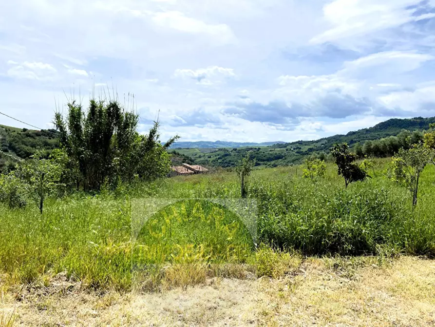 Immagine 2 di Villa in vendita  in Contrada Montalfano a Cupello