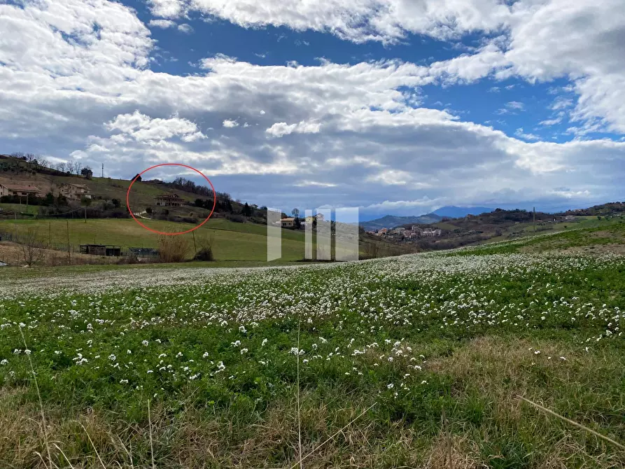Immagine 15 di Casa indipendente in vendita  a Teramo