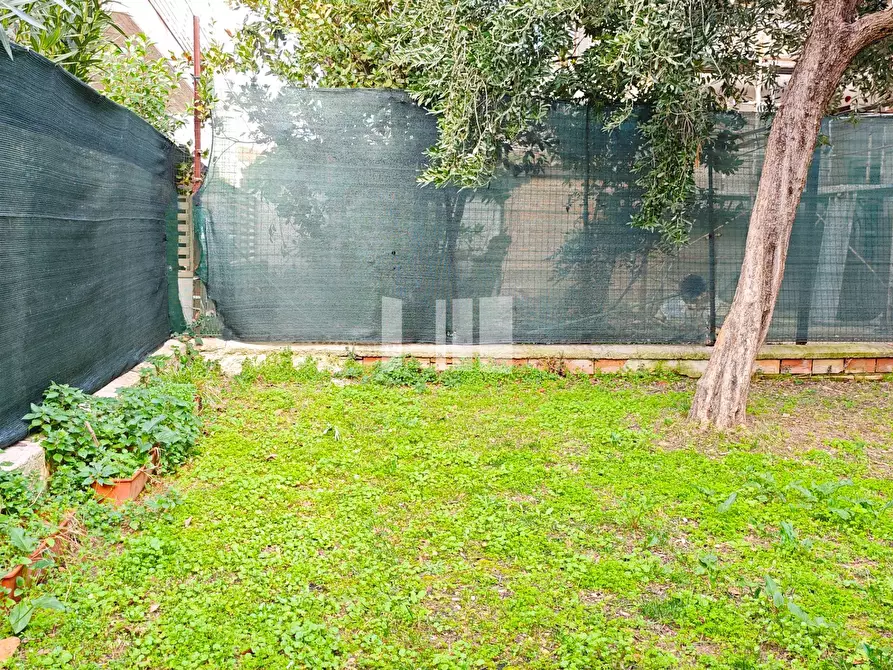 Immagine 9 di Appartamento in vendita  in Via Napoli a Giulianova