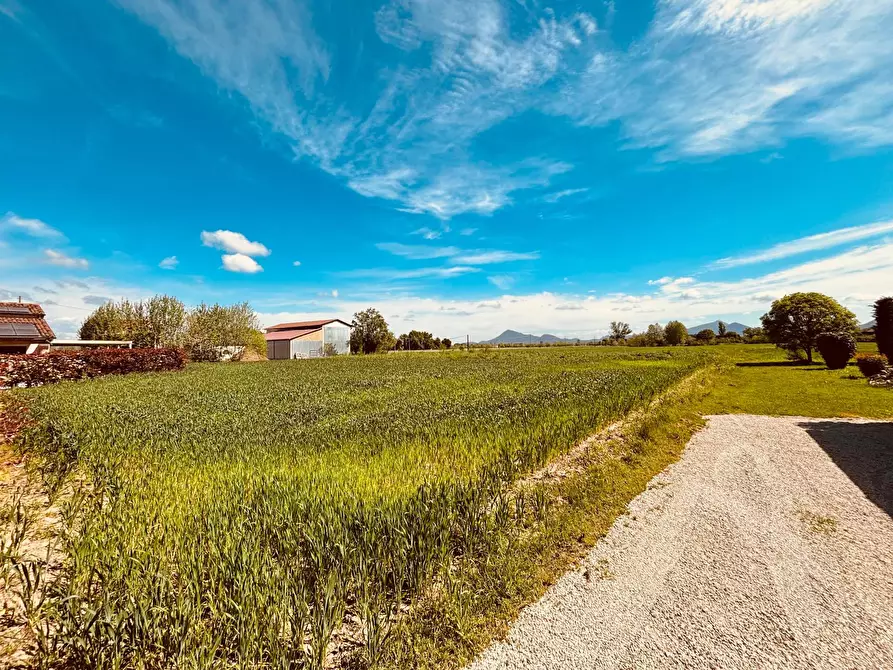 Immagine 20 di Casa bifamiliare in vendita  in Via Peraro a Noventa Vicentina