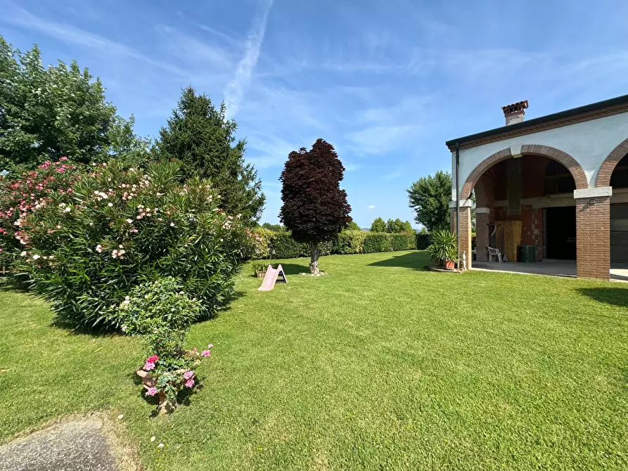 Immagine 12 di Casa semindipendente in vendita  in Via Galileo Galilei a Campiglia Dei Berici