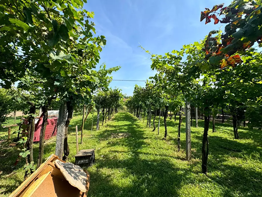 Immagine 10 di Casa semindipendente in vendita  in Via Galileo Galilei a Campiglia Dei Berici