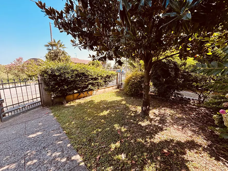 Immagine 23 di Casa semindipendente in vendita  in Via Canareggio a Borgo Veneto