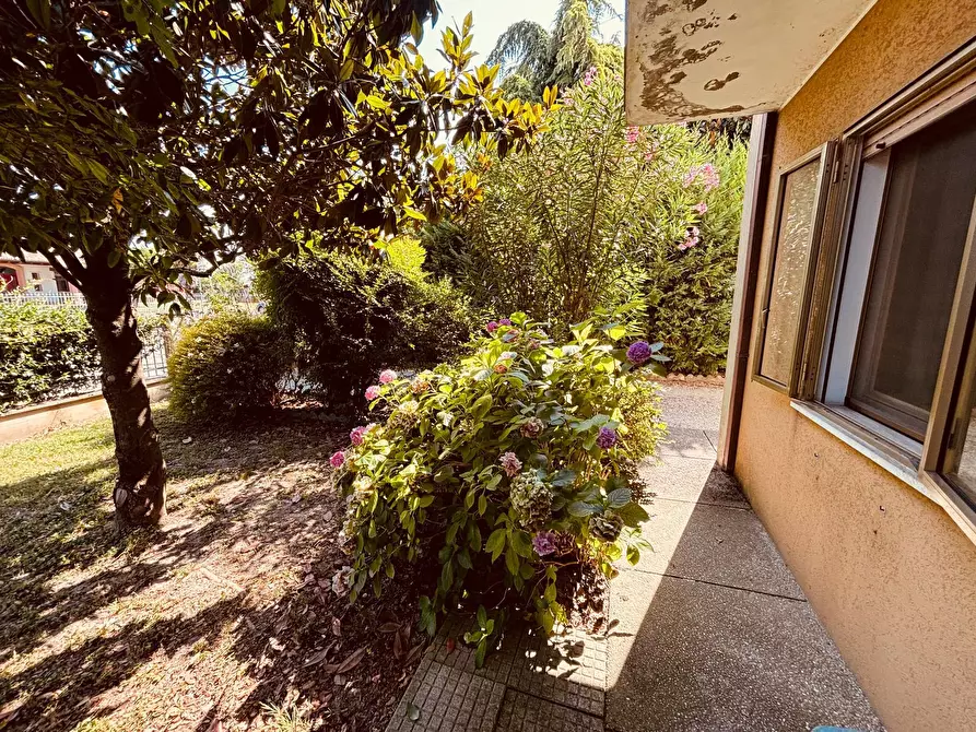 Immagine 26 di Casa semindipendente in vendita  in Via Canareggio a Borgo Veneto