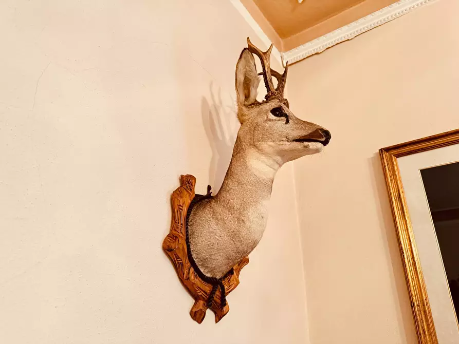 Immagine 14 di Appartamento in vendita  in Via Guido Negri a Gallio