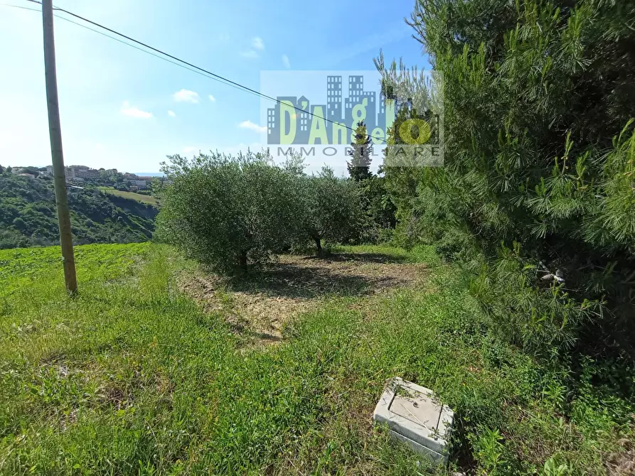 Immagine 5 di Terreno residenziale in vendita  in Via lava a Offida
