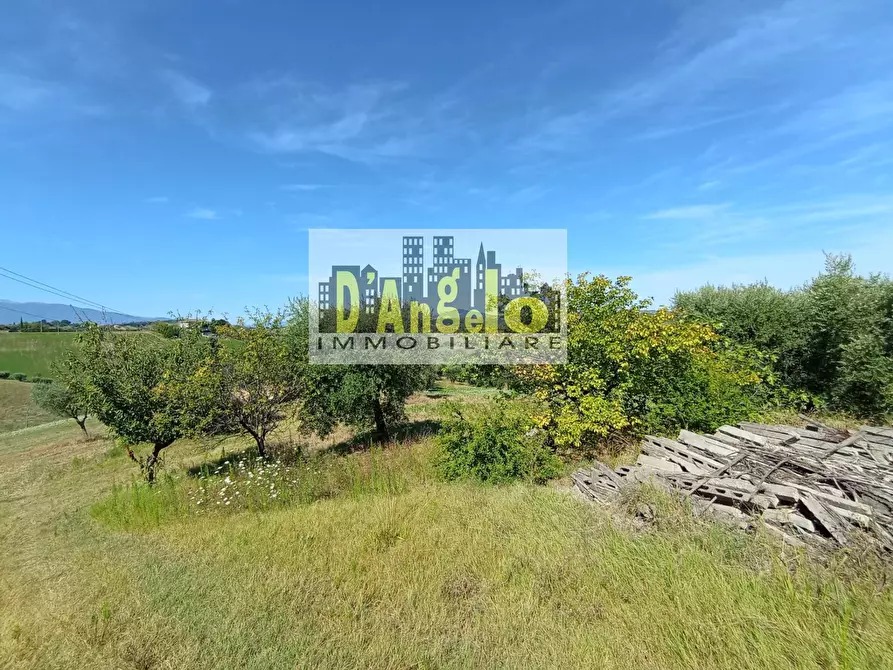 Immagine 23 di Rustico / casale in vendita  in Contrada Pagliare a Monsampolo Del Tronto