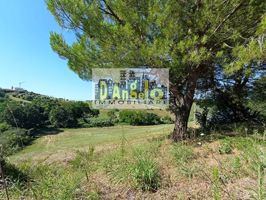 Immagine 25 di Rustico / casale in vendita  in Contrada Pagliare a Monsampolo Del Tronto