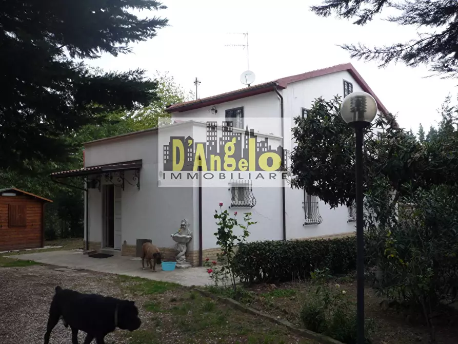 Immagine 2 di Casa indipendente in vendita  a Castignano