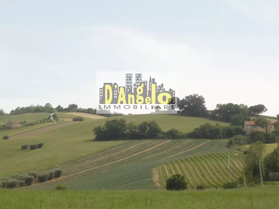 Immagine 11 di Casa indipendente in vendita  a Castignano