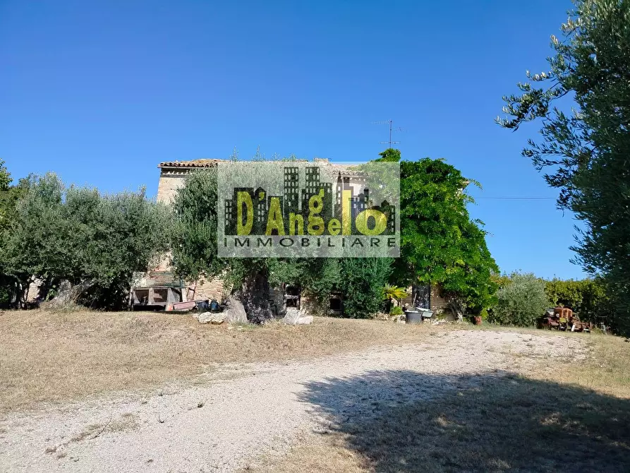 Immagine 4 di Rustico / casale in vendita  in Rovecciano a Offida
